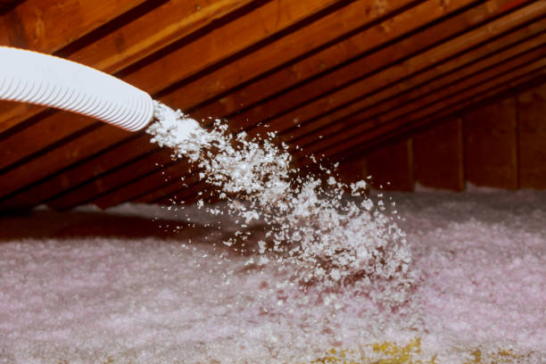 Types of Insulation We Offer in Alondra Park, CA