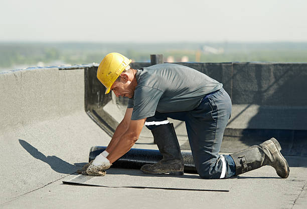 Best Geographic-Specific Insulation Services in Alondra Park, CA